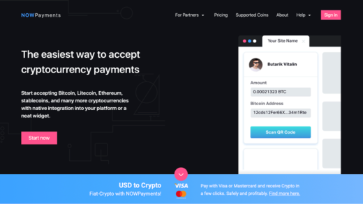 NowPayments Review - Crypto Payment Gateway