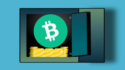 13 Best Bitcoin Cash Wallets | Top BCH Wallets For 2023