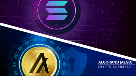 Solana vs algorand